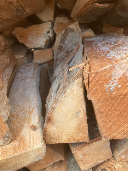 B-Ware - 5,6 SRM Buchenholz in 33cm Holzlänge, trocken als loses Schüttgut